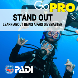 Divemaster Orientation